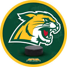 Image result for Northern Hockey Club