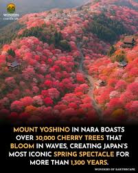 /MANKAI RED ZÖNE에 대한 이미지 검색결과