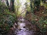 Creeks Ordinance - City of Berkeley, CA