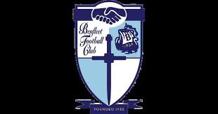 Image result for Benfleet Football Club