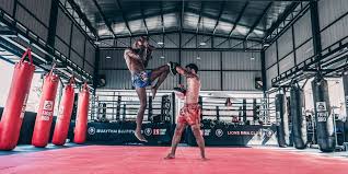 Image result for The Square Boxing Club
