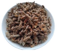 Attēlu rezultāti vaicājumam “Rosa majalis fruit”