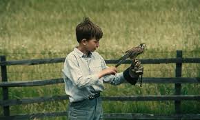 Kuvahaun tulos haulle kes