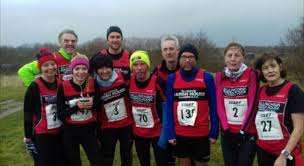 Image result for Billingham Marsh House Harriers