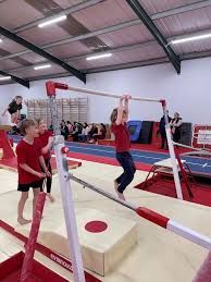 Image result for Pinewood Gymnastics Club