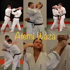 Image result for Goshin Ryu Atemi JuJitsu