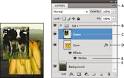 Adobe Photoshop CS5 * Layer basics