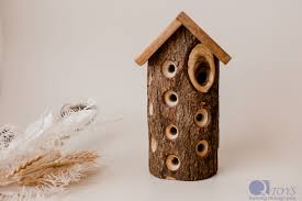 Image result for ladybug house