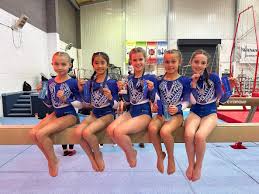 Image result for Notts Gymnastics Club