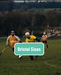 Image result for World of Shinty