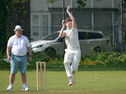 Image result for Yelverton Bohemians Cricket Club