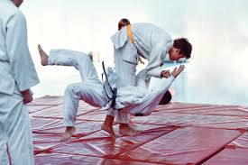 Image result for Tsunami Karate Club