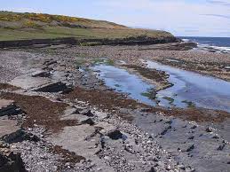 Image result for example