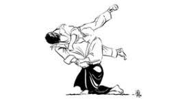 Image result for Aikido - Shobu UK (Newton in furness)
