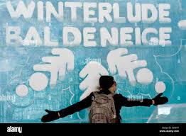 Image result for winterlude logo