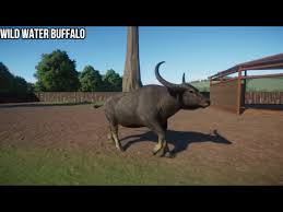 Image result for Wild Water Planet