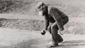 Image result for lewisham and crystal palace indoor bowls club