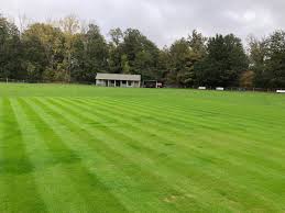 Image result for Mellis Cricket Club
