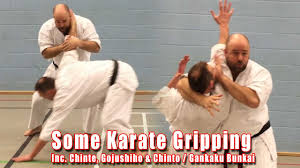 Image result for Katakuri Karate