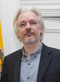 Image result for julian assange