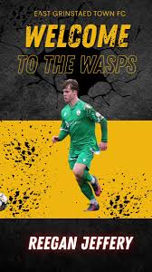 Image result for East Grinstead Town Football Club