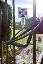 Image result for Bearsden Bowling Club