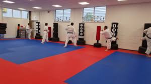 Image result for Basingstoke SMRTJ Jiu Jitsu