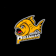 Image result for Sawston Piranhas Octopush Club