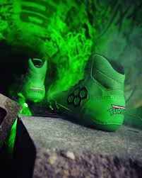 Attēlu rezultāti vaicājumam “Chara rudis”