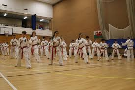 Image result for Bytomic Tae Kwon Do Guildford