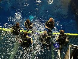 Image result for Bedford Scuba Divers