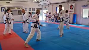 Image result for Tang Sou Dao Ren Yi Wu Kwan - Houghton & Wyton