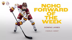 Image result for dominic james