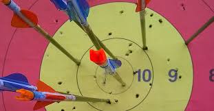Image result for Blue Arrows Archery Club
