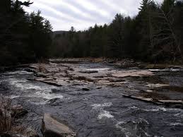 Image result for Warlingham & District Anglers Society