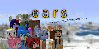 Image result for ear mod