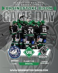 Image result for Basingstoke Bison Ice Hockey Club