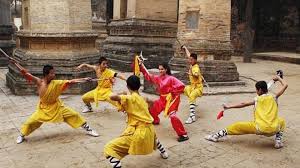 Image result for Shaolin Ancestors kung Fu School