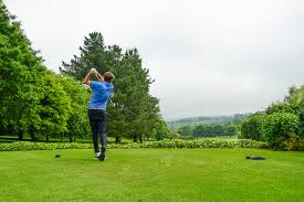 Image result for Newton Abbot Somersaults Gc