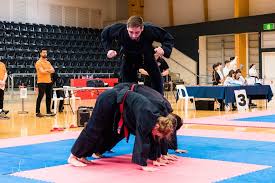 Image result for INTERNATIONAL HAPKIDO TAMWORTH