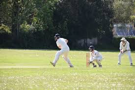 Image result for Capel Cricket Club