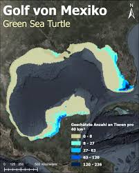 Bildergebnis für seo karten image