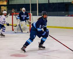 Image result for Tenbury Ladies Hockey Club
