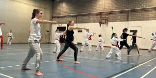 Image result for Newport Kyokushin Karate Club