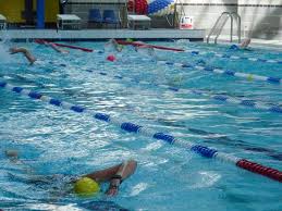 Image result for Trowbridge Swimming Club