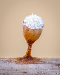 Attēlu rezultāti vaicājumam “Craterium sp.”