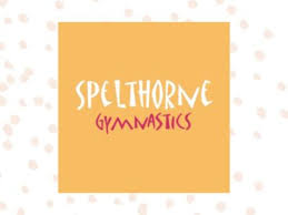 Image result for Spelthorne School Of Gymnastics