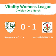 Image result for Swansea Bay Hockey Club