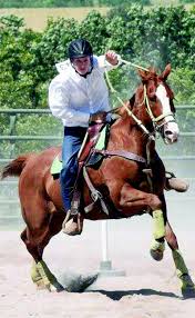 Image result for Fisher Equestrian