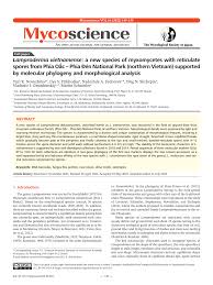 Attēlu rezultāti vaicājumam “Lamproderma violaceum”